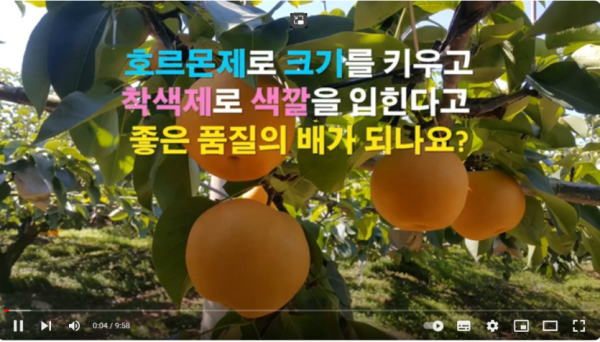 bd643541bc570d828643cd8c1e4fd6c8_1772356317_2142.png