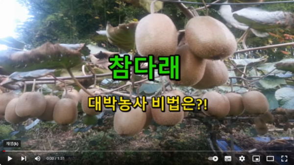 bd643541bc570d828643cd8c1e4fd6c8_1772357286_3341.png